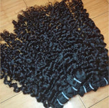 Burmese Curly