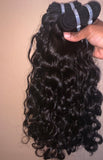 Burmese Curly