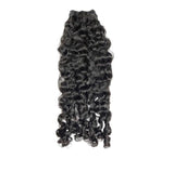 Burmese Curly